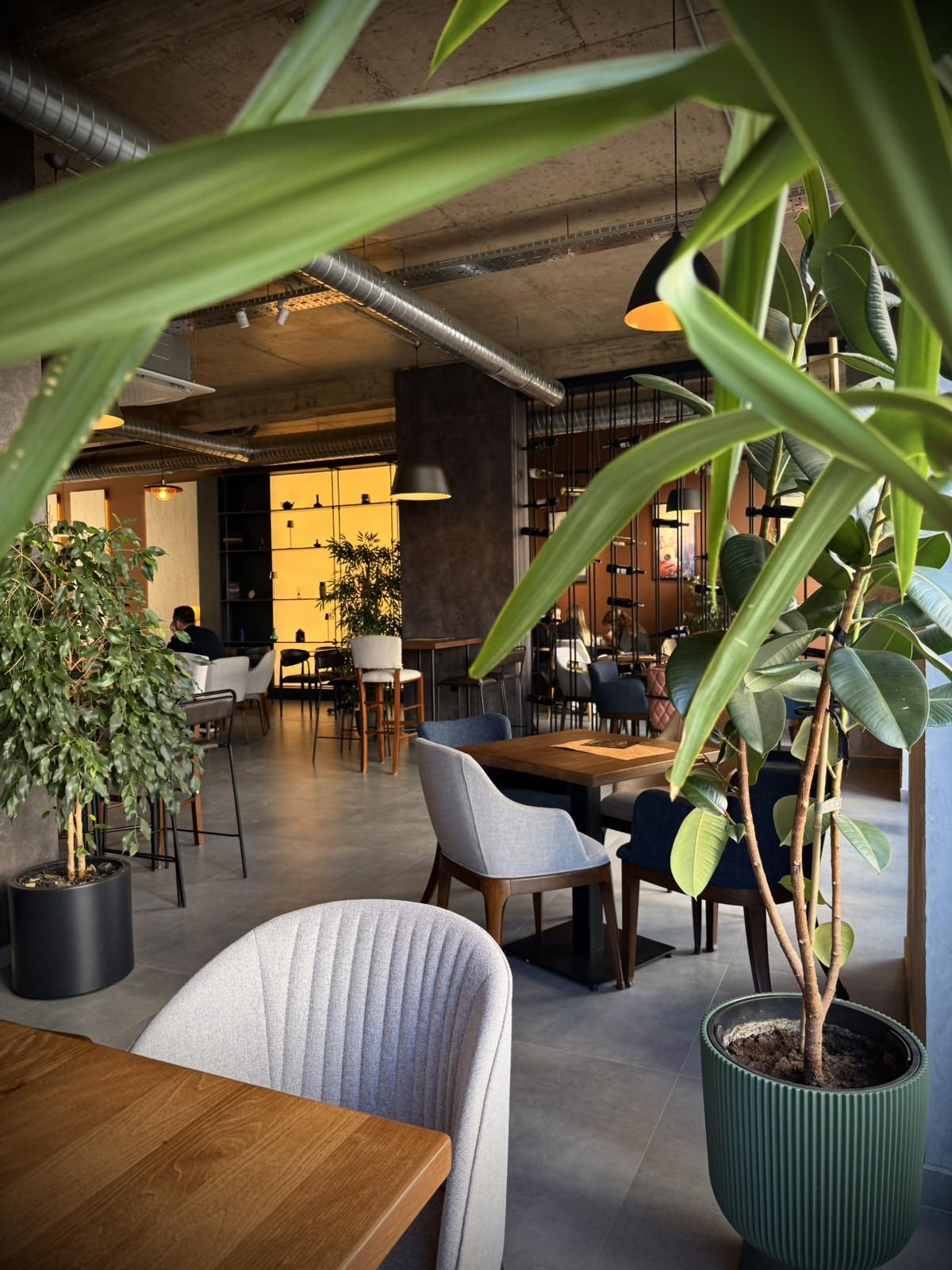 Këndi lounge mes gjelbërimit